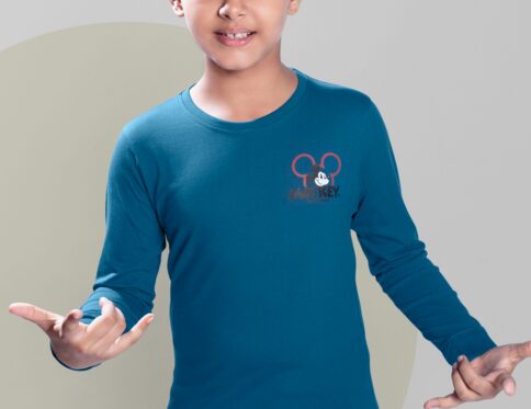 Blue color For Boys Full Sleeves and a fashionable style T-Shirt.