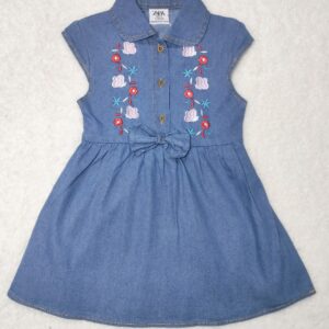 Girls Blue Embroidered Fit and Flare Dress